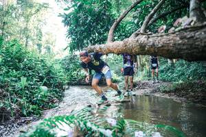 BIB: 
                            <button type="button" onclick="openModal(25443369)" class="btn btn-primary btn-sm float-right btn-popup" data-toggle="modal" data-target=".modal-high-quality">
                        <i class="fas fa-shopping-cart"></i> Add to Cart
                    </button>
                                            <button type="button" onclick="isThisMe(25443369, true)" class="btn btn-success btn-sm float-right btn-popup btn-isme hidden" data-toggle="tooltip" data-placement="bottom" title="นี่คือรูปของคุณใช่ไหม คลิกที่นี่เพื่อเอาเข้าอัลบั้ม">
                        <i class="fas fa-plus"></i> Add to album
                    </button>
                    <button type="button" onclick="isThisMe(25443369, false)" class="btn btn-warning btn-sm float-right btn-popup btn-isnotme hidden">
                        <i class="fas fa-ban"></i> Remove from album
                    </button>